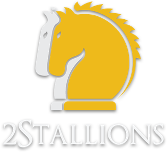 About logo 2Stallions